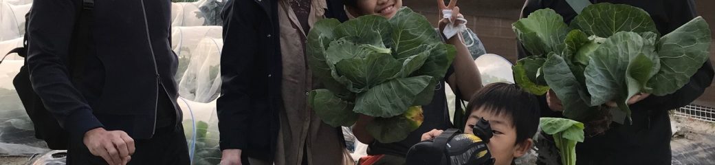 【野菜作り】体験レポート　シェア畑・吹田千里山　様（吹田市）